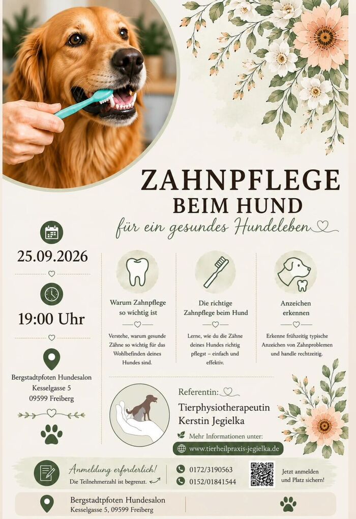 Veranstaltungen Veranstaltungen
